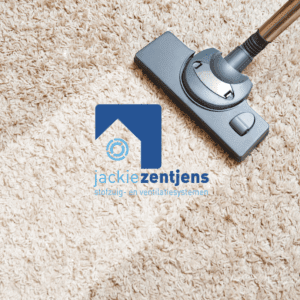 huishoudelijke stofzuiger