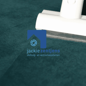 professionele opvangzakken